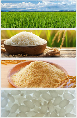 穀物の美肌成分